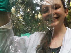 Andrea Müller conducting field research on ant plants in the Peruvian Amazon rainforest. In experiments, she showed that the ant plant Tococa quadrialata does not rely solely on symbiotic ants, which serve as bodyguards for the plant, to defend itself against enemies. When attacked by predators, it can also activate its own defense mechanisms.